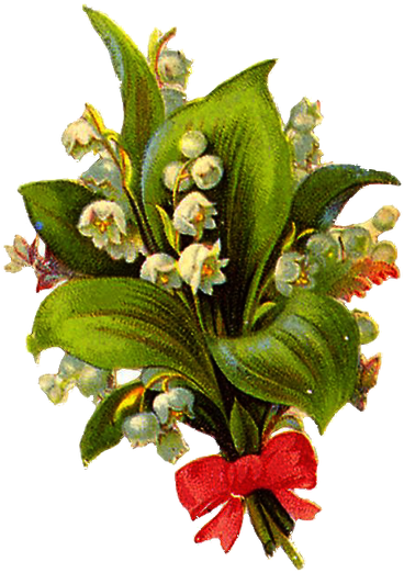 Excellent Vine Flower Bouquet Png Isolated Transpa - Portable Network Graphics (400x543)
