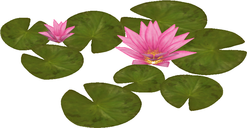 Water Lily 2 - Water Lily Plan View (846x846)