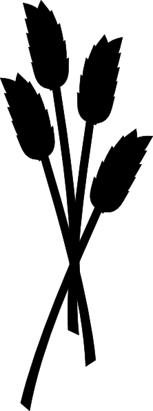 Wheat Silhouette Clipart (222x596)
