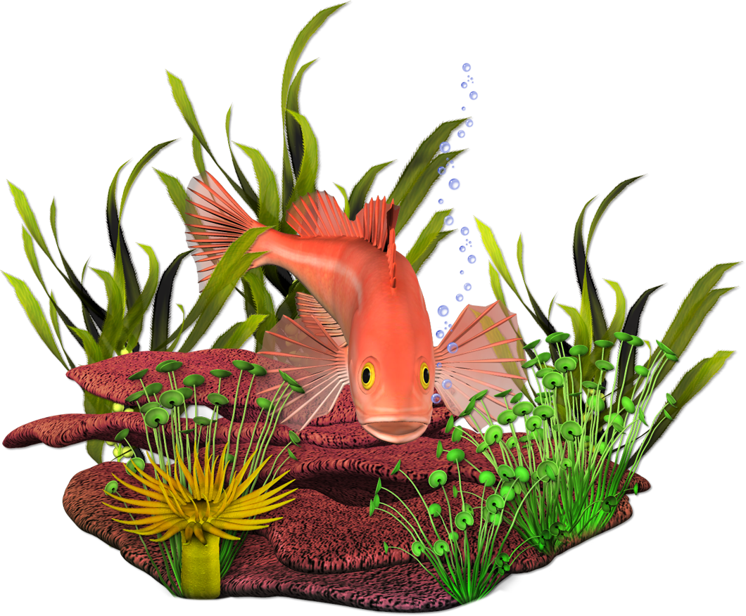 Роспись Стен, Живопись, Декор, Реставрация Художник - Fish (1060x876)