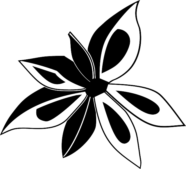 Anise Outline, Star, Flower, Plant, Cooking, Anise - Star Anise Clipart (640x581)