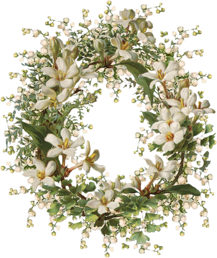 Http - //ibisette - I - B - Pic - Centerblog - Net/8773c096 - Giclee Painting: Illustration Of Honeysuckle Border, (438x521)