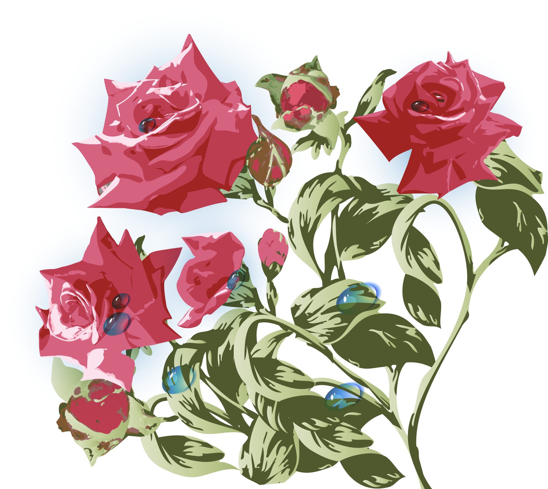 Garden Roses Beach Rose Centifolia Roses Flower - Vintage Flowers Vector Png (1789x1597)
