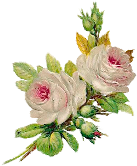 Vintage Cards - French Vintage Flower (462x562)