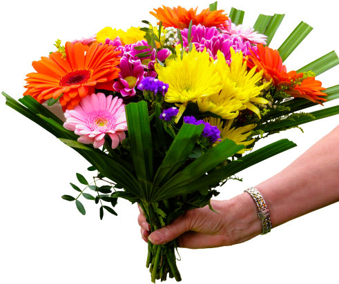 Flower Poppy Vase Images Stock Photos Amp Vectors,salvia - Special Good Morning Flowers (500x429)