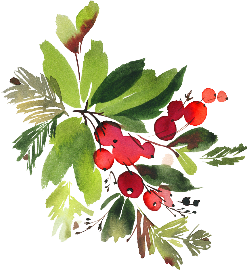 Snowman Watercolor Flowers Png - Christmas Holly Watercolour Clipart (1000x1000)
