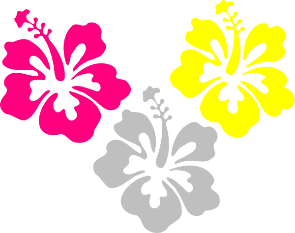 Hibiscus Pink Yellow Clip Art At Clkercom Vector - Hibiscus Clip Art (600x474)