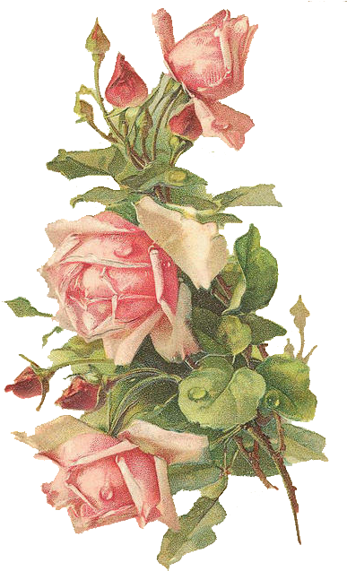 Wings Of Whimsy - Vintage Flower Transparent Png (407x640)