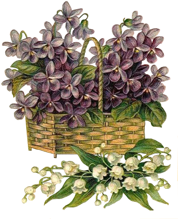 Vintage Flowersvintage Cardsflower - Flower (370x500)