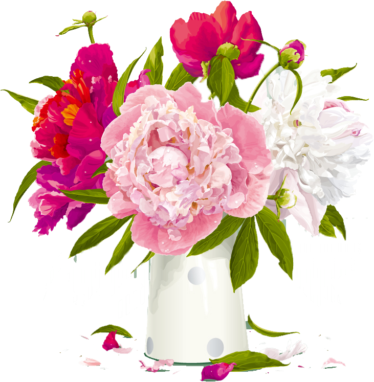 Peony Paeonia Lactiflora Flower Clip Art - Peony Paeonia Lactiflora Flower Clip Art (800x800)