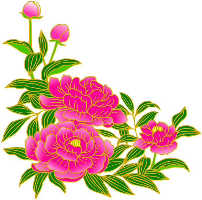 Peony, Pink, Gay, Flowers, Summer, Japanese Style - 芍薬 イラスト (720x720)