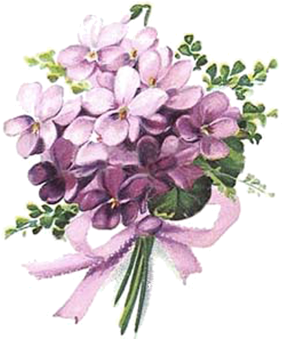 This Is A Really Lovely Vintage Rose This Wonderful - Flower (498x500)