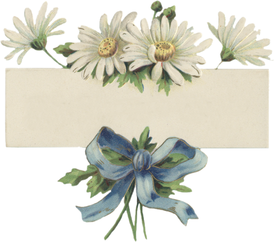 3d - Tube Prentemps (566x498)