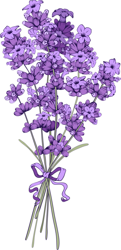 Floral Vintage Background With Lavender - Flower Banner Vintage Png (389x800)