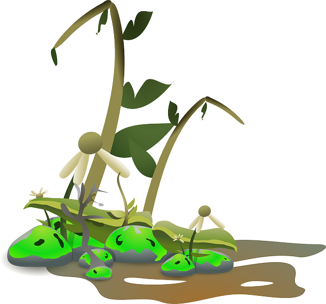 Plants Nature, Landscape, Growing, Plants - Dying Plant Clipart (640x597)