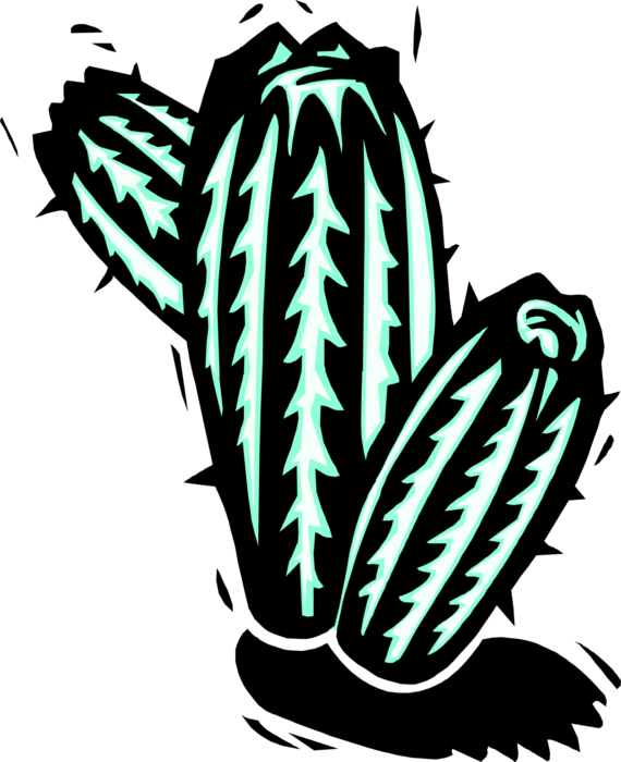 Vector Illustration Of Desert Vegetation Succulent - Xilogravura Cacto Png (570x700)