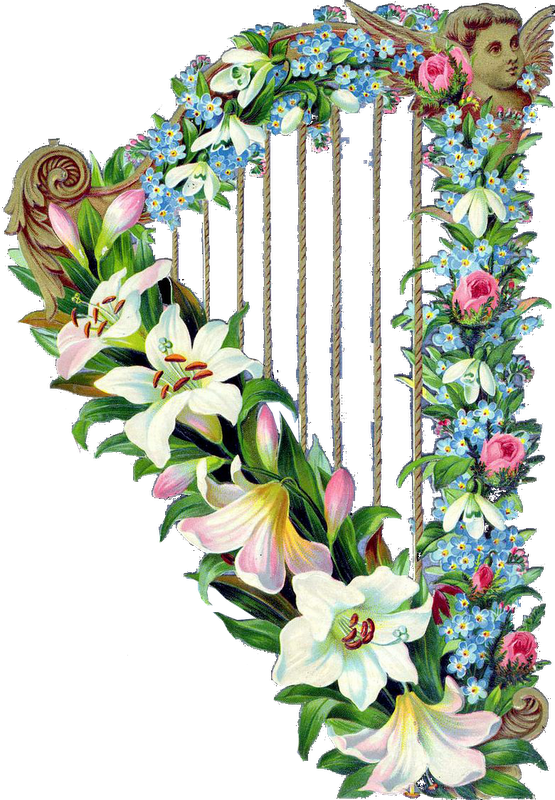 Explore Vintage Graphic, Vintage Art, And More - Lily Family (555x800)