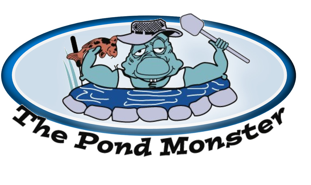 The Pond Monster - Inflatable Boat (1100x655)