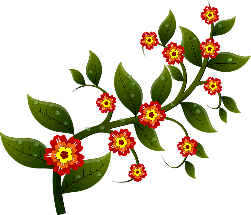 Flower Vectors 19, - 1s Tee Flowers On A Branch. (840x720)