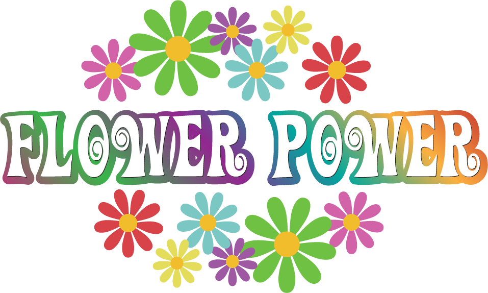 Norwood, Ma Florist - Flower Power Transparent (957x574)