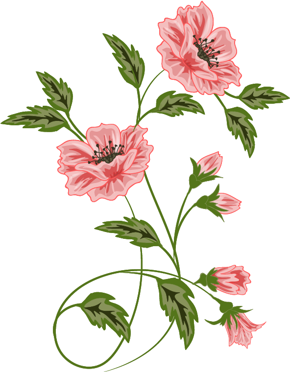 Flowers, Vector - Vector Graphics (630x800)