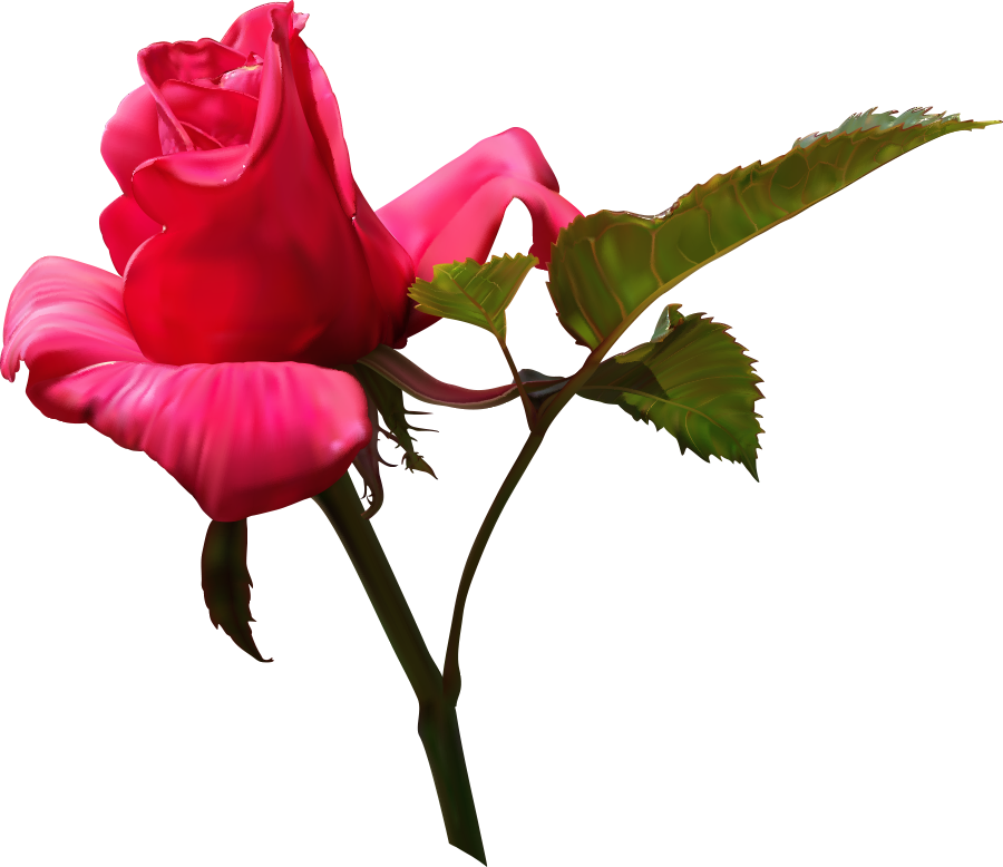 Flower Vector Rose Transprent Png Free Download Love - Flower Vector Rose Transprent Png Free Download Love (900x778)