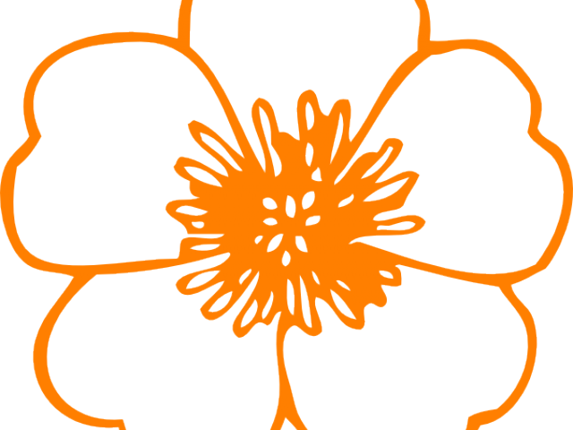 Orange Flower Clipart - Flower Clip Art Free (640x480)