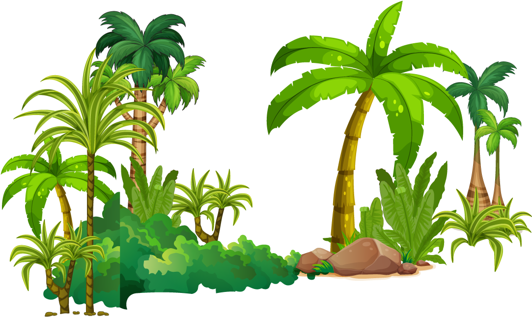 Tree Tropical Rainforest Euclidean Vector - Rainforest Png (1088x1020)