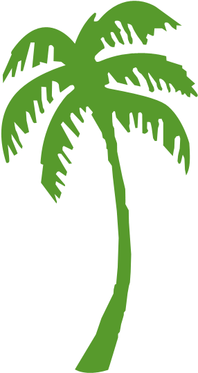Our Management Application - Palm Tree Clip Art (326x600)