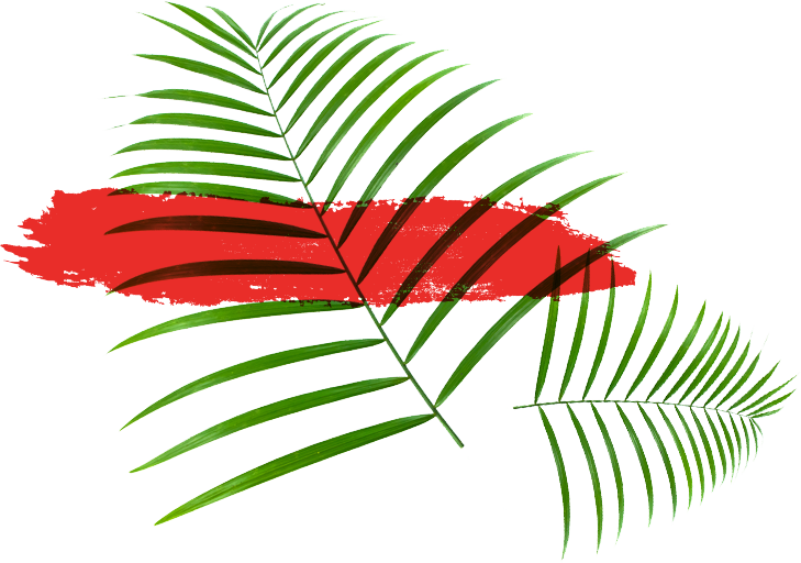 It Brings Together Two Seemingly Opposed Ideas Into - It Brings Together Two Seemingly Opposed Ideas Into (729x512)