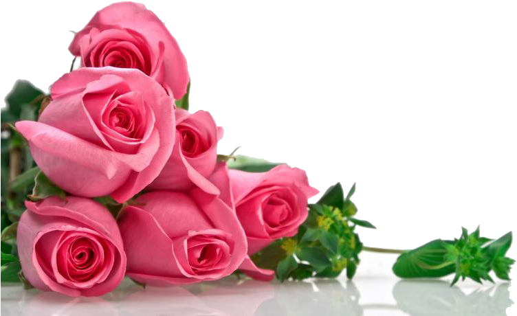 Pink Roses Flowers Bouquet Png Transparent Image - Good Morning With Rose (800x500)