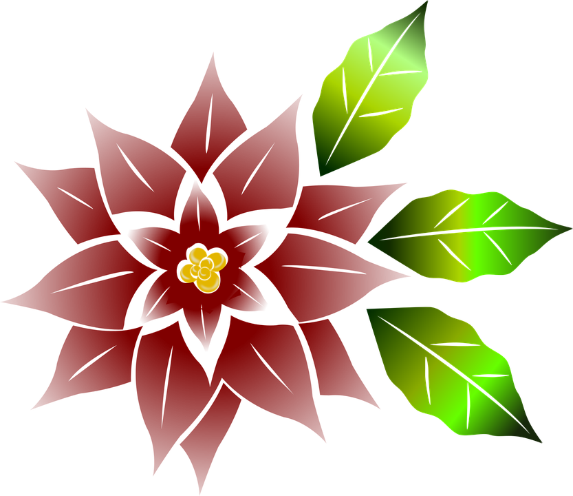 Flower Vector Free 23, - Red (833x720)