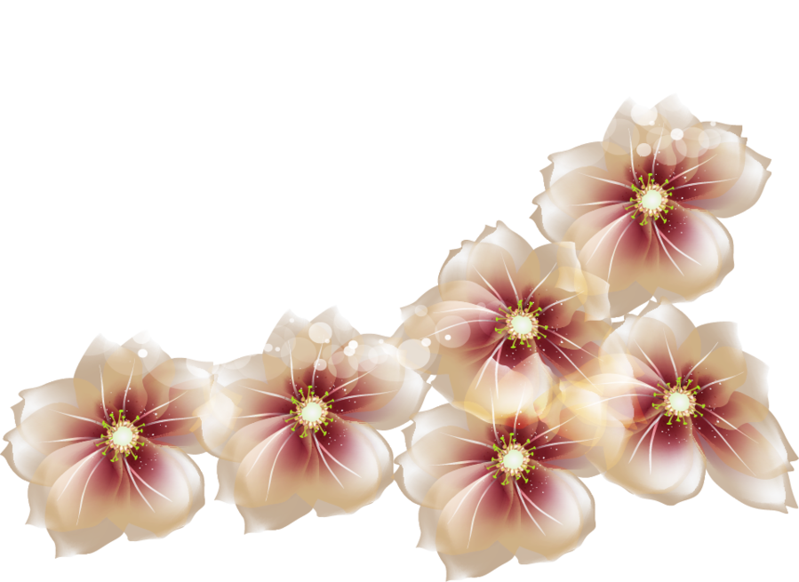 Transparent Flowers Clipart - Transparent Image Of Flowers (899x655)