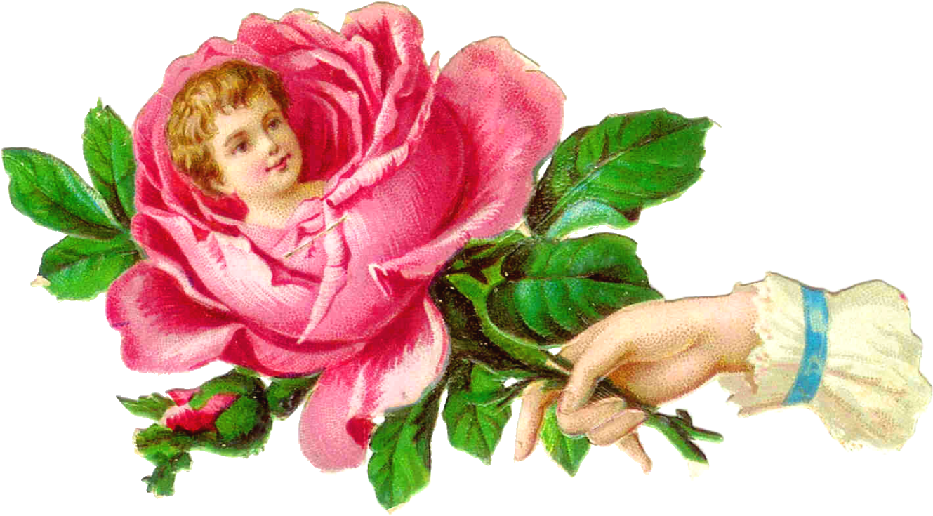 Pink Vintage Flower Clipart - Flower (1600x1050)