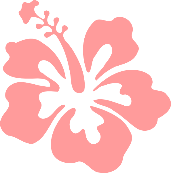 Flower Clipart Baby Pink - Hibiscus Clip Art (594x601)