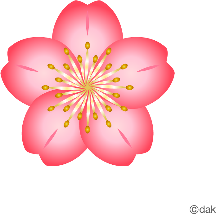 Free Flower Material Cherry Pictures Of Clipart And - Cherry Blossom Flower Icon (960x960)