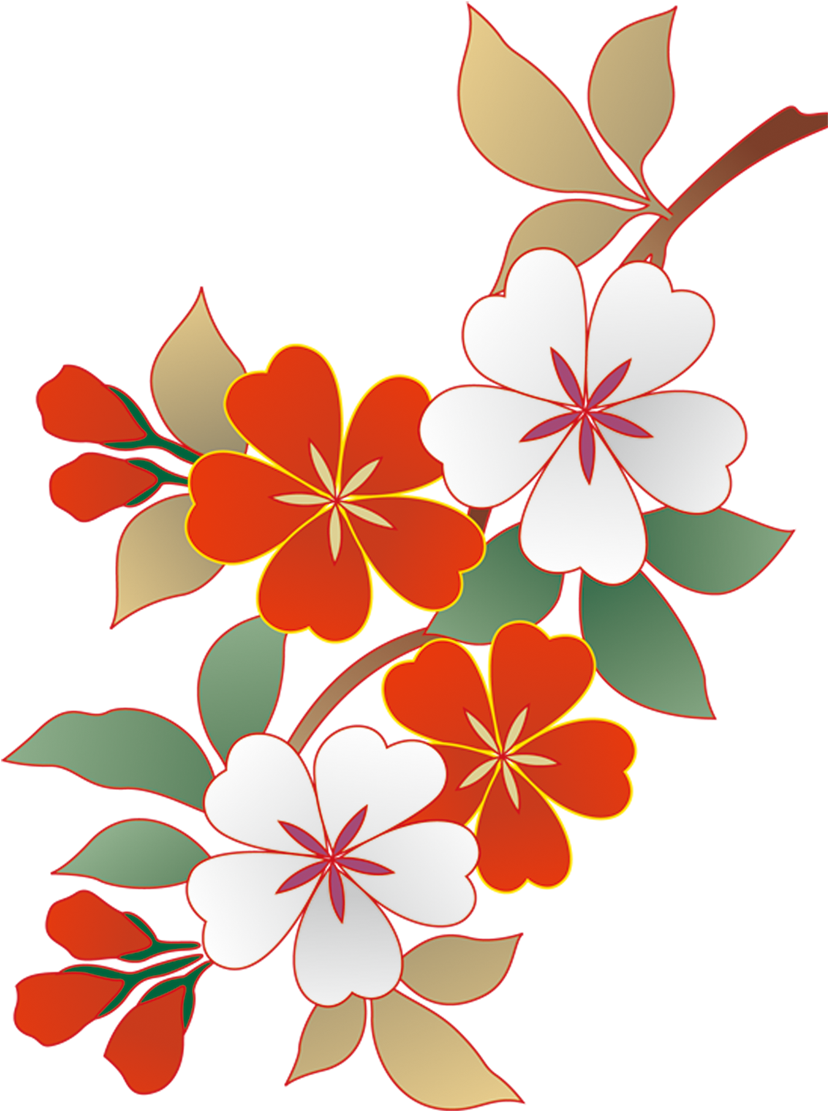 Japan Cherry Blossom Illustration - Japan Cherry Blossom Illustration (1000x1167)