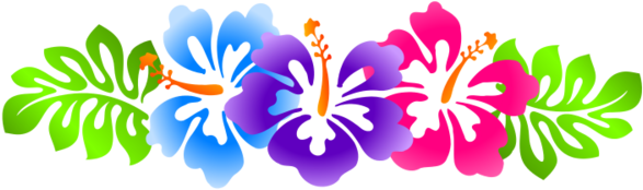 Luau Clip Art Borders Free Hibiscus Line - Hibiscus Flower Banner Png (640x480)