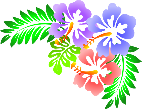 Hibiscus Clipart Corner - Clip Art Hibiscus (600x462)