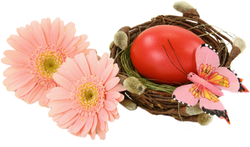 Easter Eggs In Birds Nests - Картинки На Великденски Яйца (500x309)