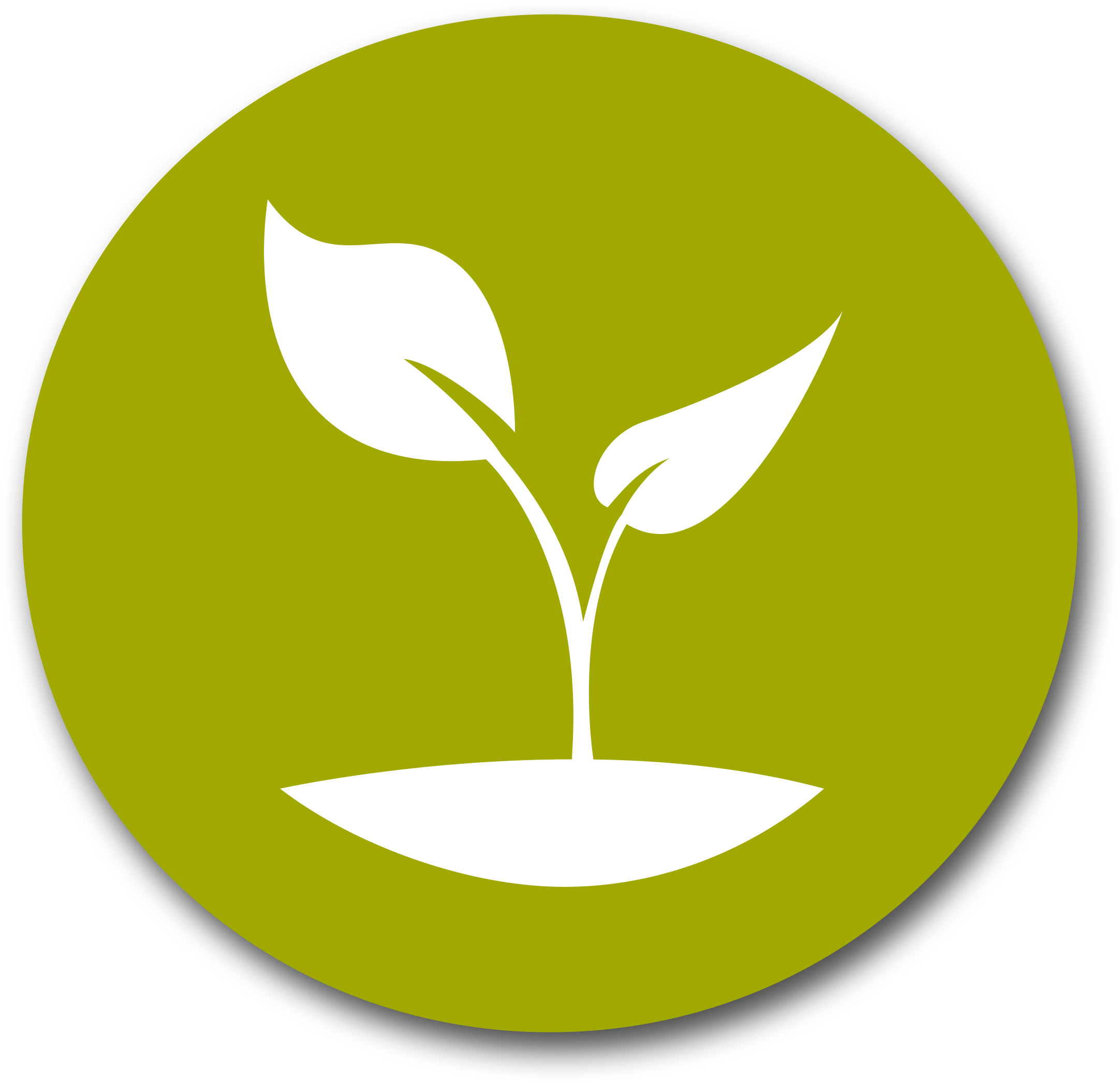 This Year We've Had Over 7,000 Applicants To The Scholars - Student (2244x2244)