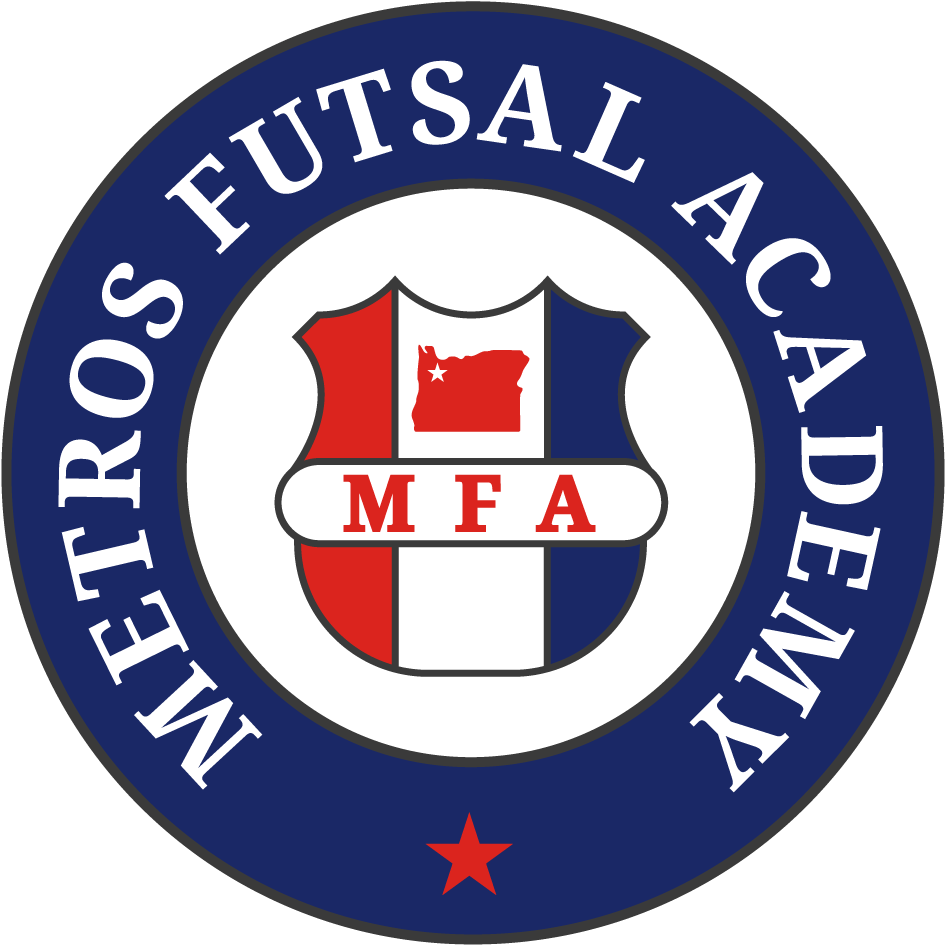 Metros Futsal Academy - Washington Nationals Logo Png (1000x1000)