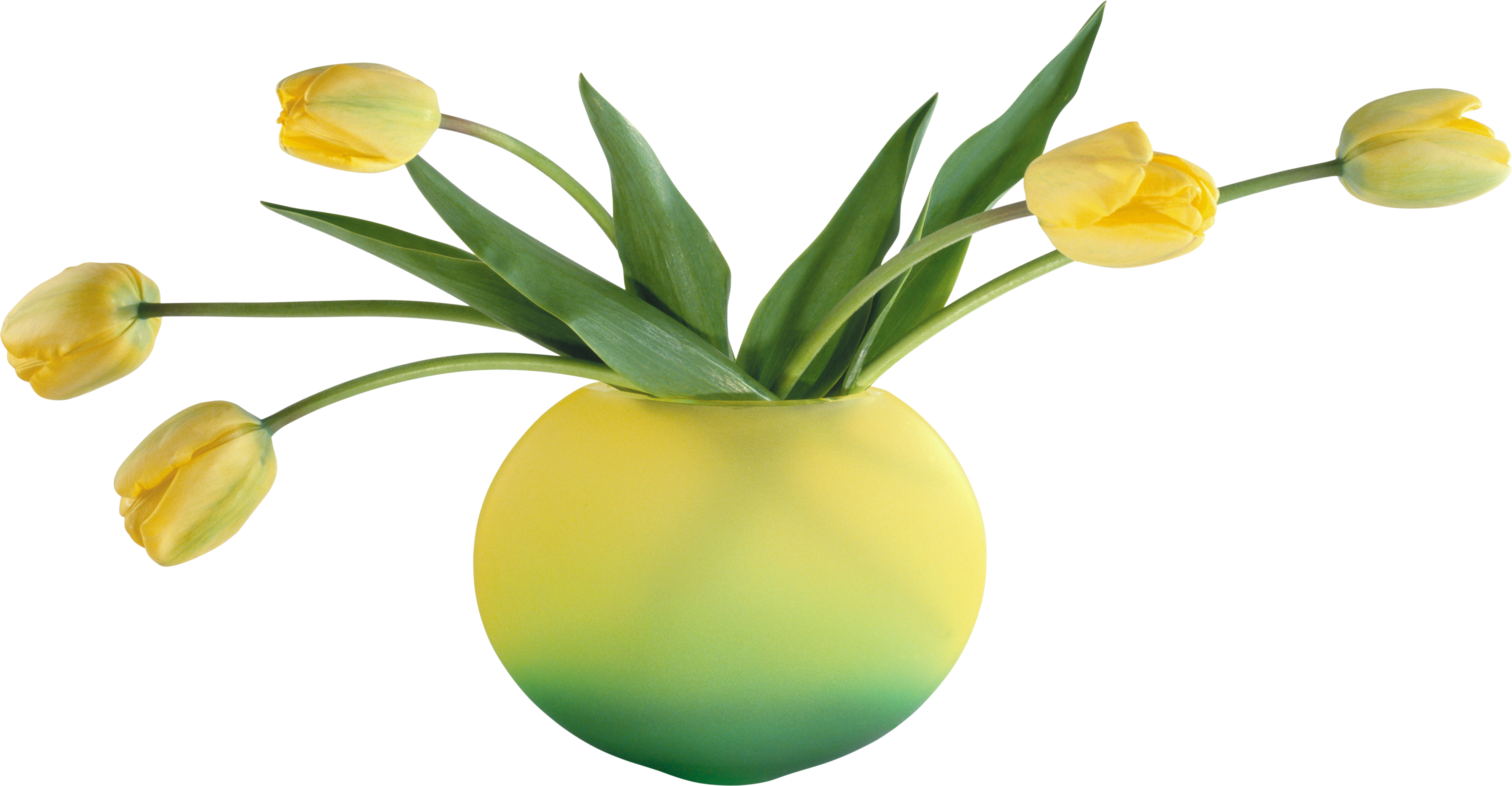 Vase Png - Vase Png (5460x2840)