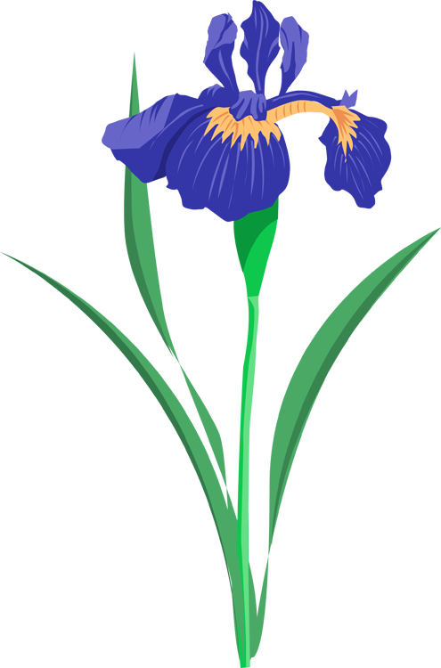Grab This Free Summer Flower Clip Art - Purple Iris Clip Art (495x750)