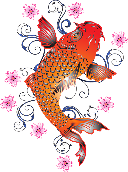 Cherry Blossom Cartoon 7, Buy Clip Art - Giclee Print: Orange Koi With Floral Design (536x720)