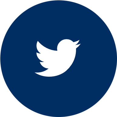 Beetle Deli Rh Sfccdesign Com Black Twitter Logo Vector - Yellow Twitter Icon Png (392x392)