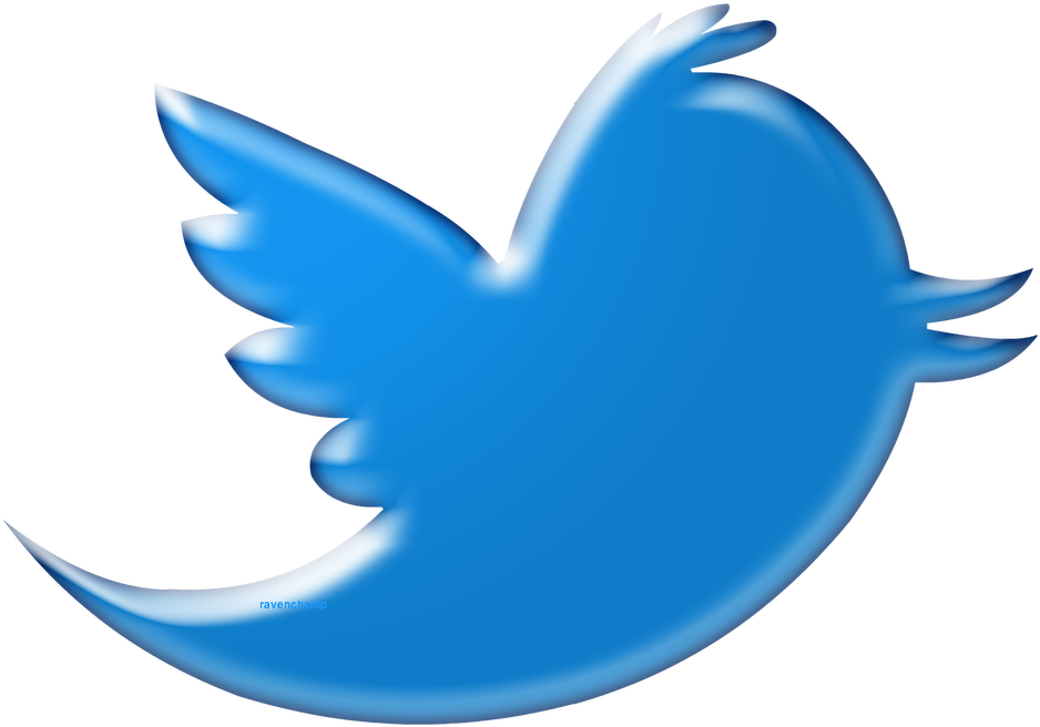 Twitter Bird Black Background - Twitter Bird Png Logo (1108x828)