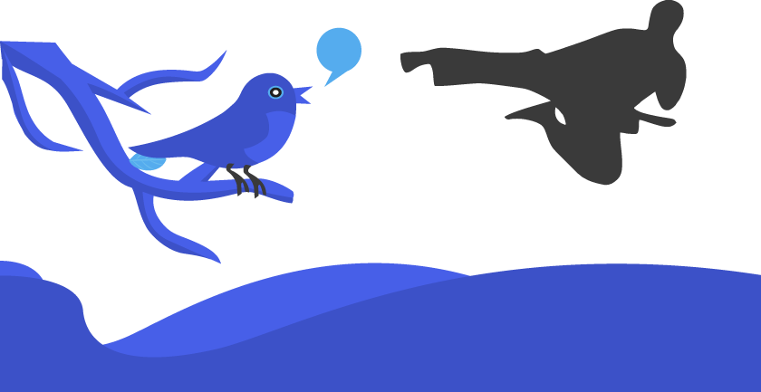 We Fight Back By Arming Ourselves With Ux Knowledge - Blackbeltshop Inc. Flying Side Kicks Wall Decal, Black (840x433)