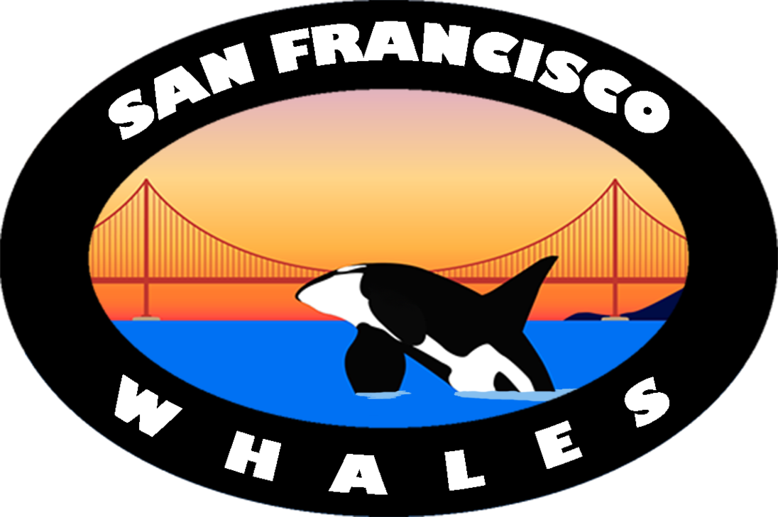 California Whales Logos - Circle (1096x729)
