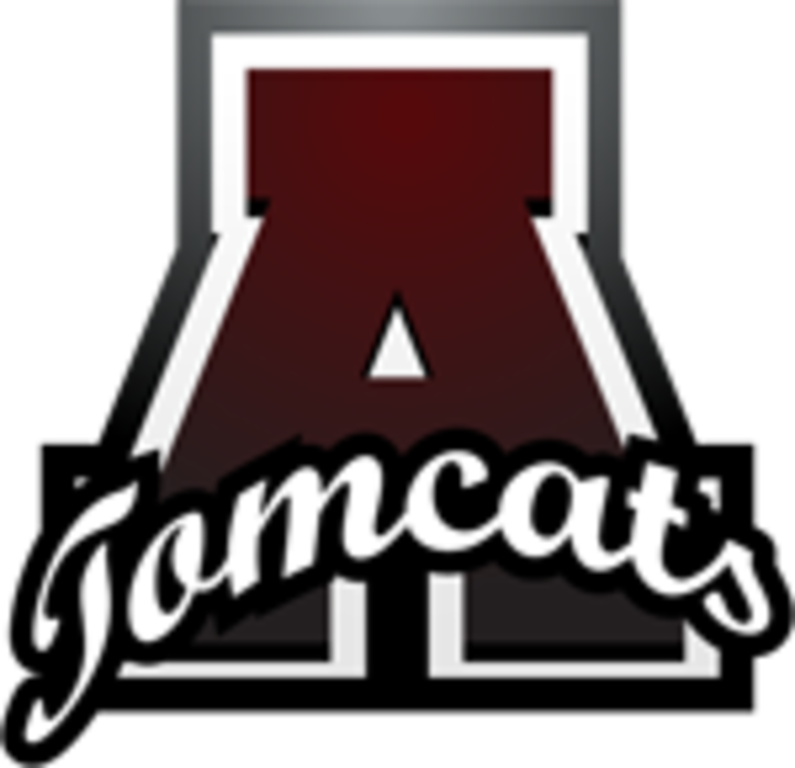 P - Anoka High School (720x696)